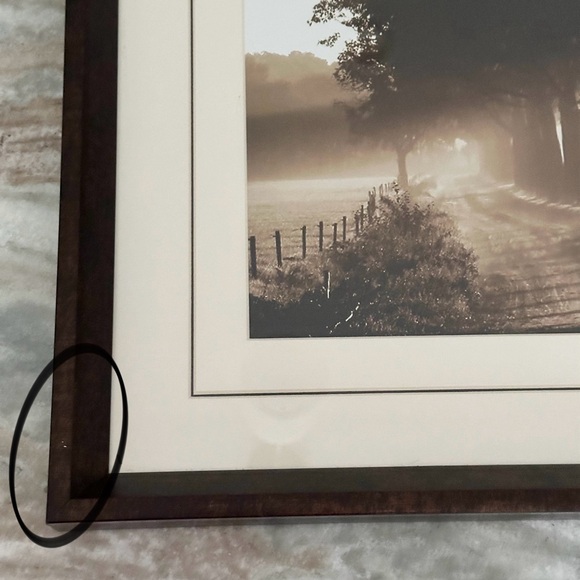 Sepia Tree Landscape Print Framed Glass Art - Wall Decor - Picture 7 of 16